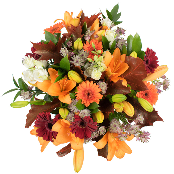 A lush, artfully composed autumn bouquet photographed from above against a clean white field, where the colours read bright and true. At its heart are several fully opened orange Asiatic lilies, their broad, trumpet-like petals curving outward in a confident, glossy display; between them, many neat buds in pale orange and spring green promise more blooms. Bright orange Gerbera daisies punctuate the arrangement with cheerful, sunflower-like faces, while deep burgundy Gerberas add dramatic, velvety contrast and visual depth. Creamy-white lisianthus with ruffled petals drift through the composition, tempering the warmer tones and offering a soft, almost tactile relief. Architectural clusters of muted purple Astrantia scatter delicate star-shaped flowers across the bouquet, contributing an intricate, almost lacy texture that invites closer inspection. Generous swathes of glossy green foliage underpin the blooms, and several large, lobed leaves in warm reddish-brown are arranged to echo autumn's fallen canopy-an effect that brings to mind the tree-lined squares around St Martin's Lane. The overall form is compact and abundant, a rounded, harvest-like silhouette that reads as both celebratory and comforting. The lighting is bright and direct, making each colour pop and revealing the fine details: the dark centres of the Gerberas, the veining in the lily petals, the papery edges of the autumn leaves. As crafted by Flowers Covent Garden, this bouquet would make an elegant Thanksgiving centrepiece or a seasonal gift that carries the tactile, woodsy fragrance and sense of abundance found on a crisp walk around the Covent Garden piazza.